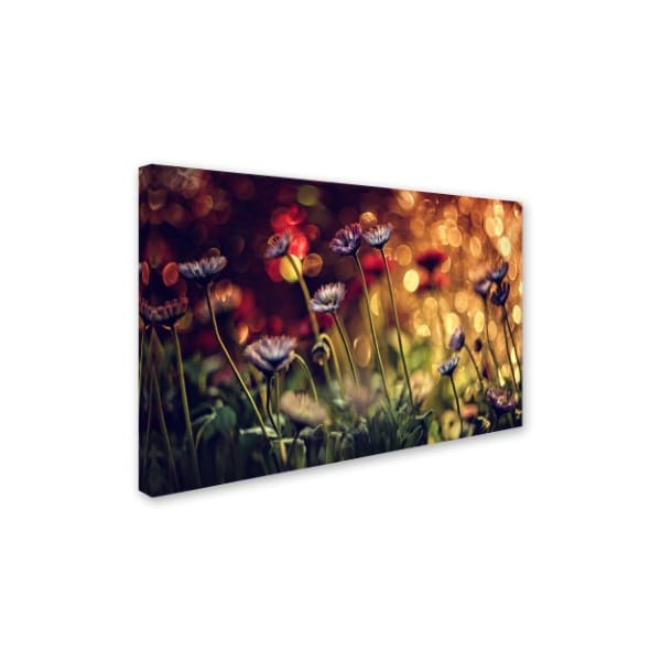 Dimitar Lazarov 'Flowers' Canvas Art,30x47